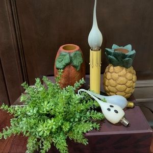 Electric Country Candle w/ 2 sleeves, 1 ring, & 3 bulbs